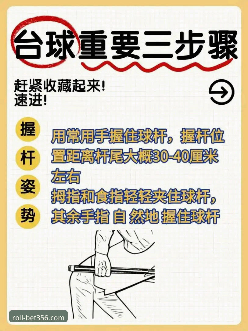 揭秘bet356体育平台：新手安全上手的完整操作指南